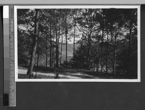 Road running through forested hills in Ing Tai, Fujian, China, 1936