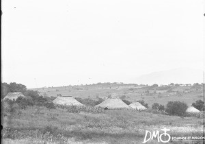 Landscape near Elim, Limpopo, South Africa, ca. 1896-1911