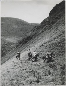 On tour, by horse, in the mountain