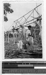 Yucatecans constructing house in Quintana Roo, Mexico, ca. 1946