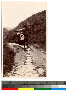 Two women and a man on a journey, Guangdong, China, ca.1913-1923