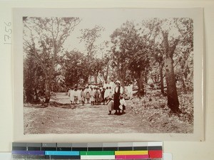 A group of children in the Soavina Mission Station garden, Soavina, Madagascar, 1922-09-19