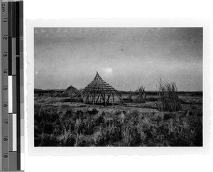 Mtusi' hut under construction, Tabora, Tanzania