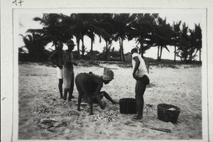 Beim Verlesen der Fische Strand Accra