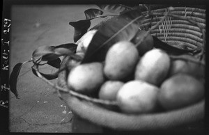 Mangoes, Mozambique, ca. 1933-1939