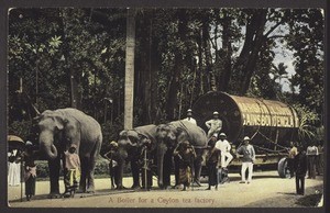 "A Boiler for a Ceylon tea factory."