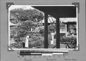 View into the garden of the "Large House", Rungwe, Tanzania, ca.1896