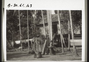 Dajak hut in Tewah with Pinang palms, and with Dracaenae terminalis which has been fenced around. The latter is an east indian plant which contains much 'mana'. Epple, 1937