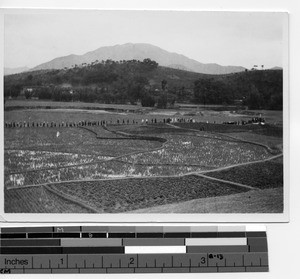 A funeral procession in Beitouzhai, China, 1931