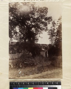 Part of the city wall at Zhangpu, Fujian Province, China, ca. 1888-1906