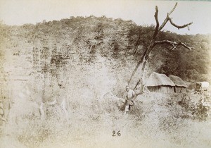 In Seleka's, with Jonathan, in Mangwato, Northern Rhodesia, Zambia