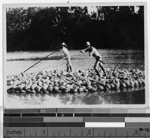 Two men on a raft made of coconuts, Philippines, ca. 1920-1940