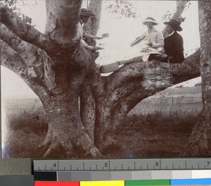 Three women having a picnic, KwaZulu-Natal, South Africa, ca.1915-1925