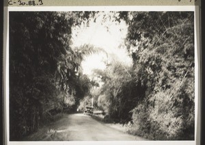 A country road near Nilambur