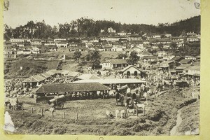 Coonoor Shandy