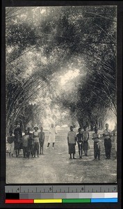 People standing outdoors in the shade of trees, Congo, ca.1920-1940