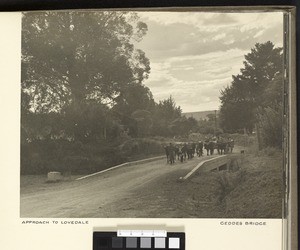 Geddes Bridge, Lovedale, South Africa, ca.1938