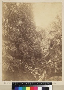 Men on mountain path, Antananarivo, Madagascar, ca. 1890