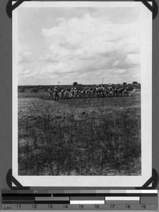 Cultivating rice, Usoke, Unyamwezi, Tanzania