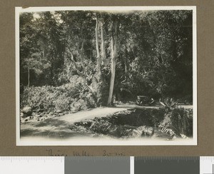 Thuci Valley, Chogoria, Kenya, 1928