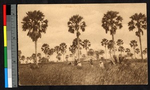 Missionaries scouting area for new mission, Ankoro, Congo, ca.1920-1940