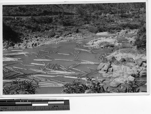 Logs floating to Luojing, China, 1937