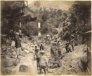 Botanical garden in Hongkong after a flood