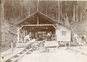 Virgile Gacon in the sawmill of Talagouga, in Gabon