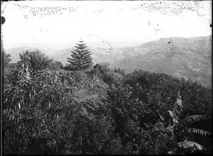 Landscape near Lemana, Limpopo, South Africa, ca. 1906-1907