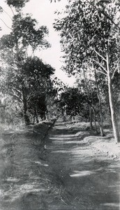 Rampart walk, Manankavaly, in Madagascar