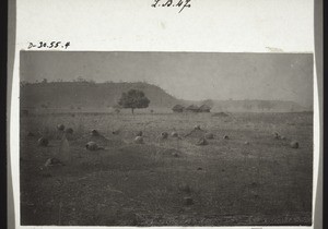 Begräbnisplatz bei Zung Moab