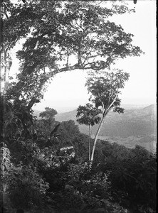 Landscape near Lemana, Limpopo, South Africa, ca. 1906-1907
