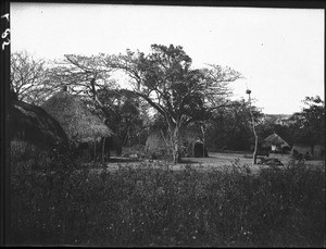 Huts, Mozambique, ca. 1901-1907