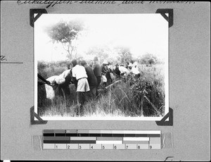 Men building a bridge, Mbozi, Tanzania, 1936