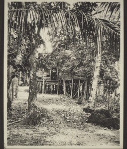 Dusun house in Lumut