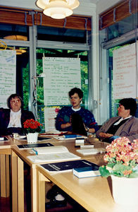 DMS perspective conference at Smidstrup Strand, June 1994