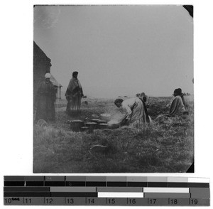 Cooking maize, South Africa East