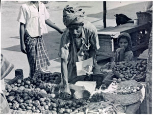 Aden. Seller of tomatoes