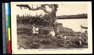 Leprosy patients with bananas, Farafangana, Madagascar, ca.1920-1940