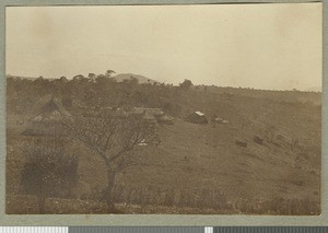 Earliest hospital buildings, Chogoria, Kenya, autumn 1923