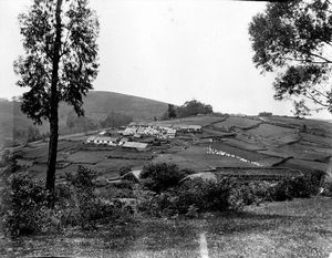 Udsigt fra Dms feriehusene i Kotagiri, Spring Cottage og Bethany ned over bjergsiden. Badaga landsbyen Aravenu. 1909