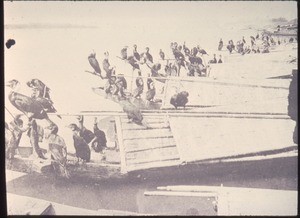 Cormorant fleet and sampans, Changde, Hunan, China, ca.1900-1919