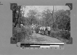 Missionary Stolz and Mr. Hockel with a carriage, Nyasa, Tanzania