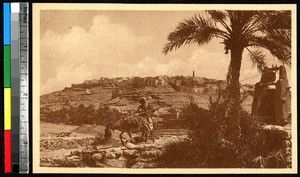 Man with a donkey using a well, Ghardaïa, Algeria, ca.1920-1940