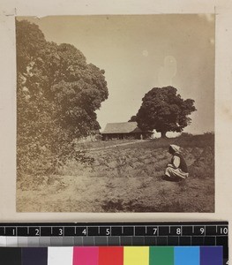 View of agricultural field, Madagascar, ca. 1865-1885