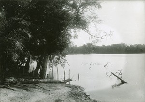 River Ogooue, in Gabon