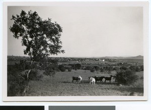 Distant view of Hebron, South Africa, 1937