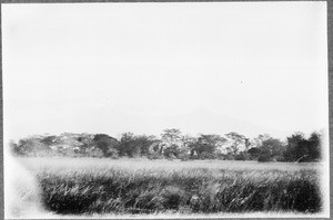 Mount Kilimanjaro, Tanzania, ca.1909-1914