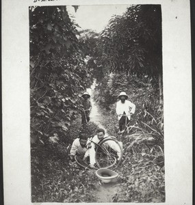 An accident with their bicycles; the missionaries Wertz, Kölle, Poth and Schultze