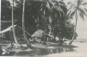 Tahitian huts